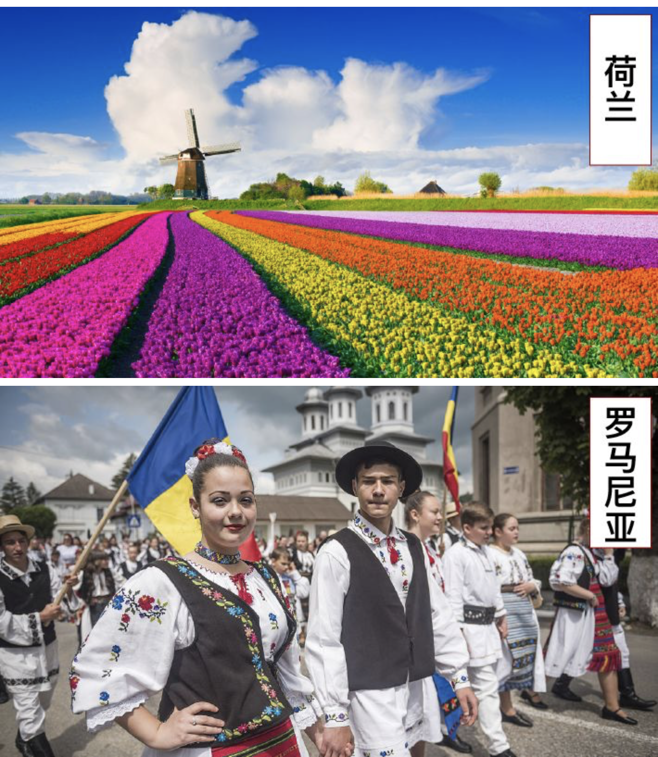 荷蘭.png