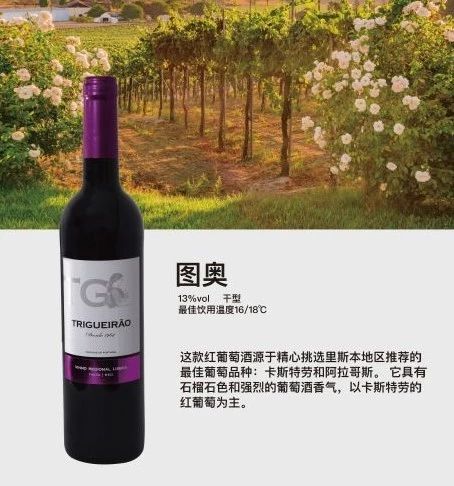 微信圖片_20190701145348.jpg