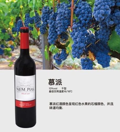 微信圖片_20190919101036.jpg